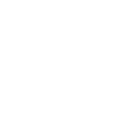 Dolfi_website_Footer_Logo_web
